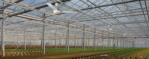 Потолочный вентилятор Vortice Nordik International Plus 140/56 Италия